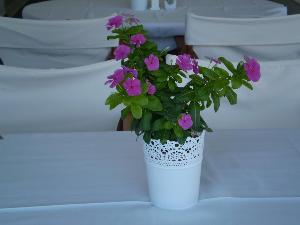 Athena Hotel Milopotamos  ภายนอก รูปภาพ